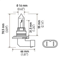 Thumbnail for Hella 9005/HB3 12V 100W P20d T4 Halogen Bulb