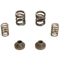 Thumbnail for BD Diesel Governor Spring Kit 3000rpm - 1994-1998 Dodge 12-valve/P7100 Pump