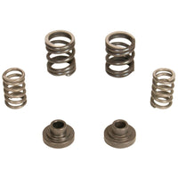 Thumbnail for BD Diesel Governor Spring Kit 3000rpm - 1994-1998 Dodge 12-valve/P7100 Pump