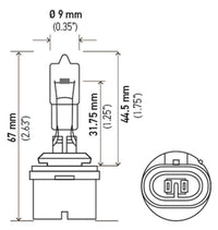 Thumbnail for Hella Bulb 884 12V 27W Pg13 T325