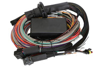 Thumbnail for Haltech Elite 1500 8ft Premium Universal Wire-In Harness