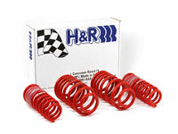 Thumbnail for H&R 96-01 Audi A4 Quattro (AWD) B5 Race Spring