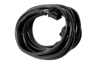 Thumbnail for Haltech CAN Cable 8 Pin Black Tyco to 8 Pin Black Tyco 1200mm (48in)