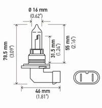 Thumbnail for Hella Bulb 9005 12V 65W P20D T4 +50 (2)