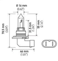 Thumbnail for Hella Bulb 9005 12V 65W P20D T4 +50