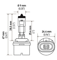 Thumbnail for Hella Bulb 893 12V 37.5W PG13 T3.25