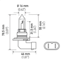 Thumbnail for Hella Bulb 9005/HB3 12V 65W P20d T4