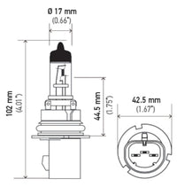 Thumbnail for Hella Bulb 9007 12V 65/55W Px29T T4625 +50(2)