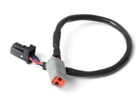 Thumbnail for Haltech Elite CAN Cable DTM-4 to 8 Pin Black Tyco 300mm (12in)