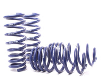 Thumbnail for H&R 07-13 BMW X5 E70 Sport Spring (w/o Self-Leveling/Incl. Diesel)
