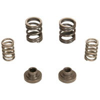 Thumbnail for BD Diesel Governor Spring Kit 3000rpm - 1994-1998 Dodge 12-valve/P7100 Pump