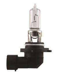 Thumbnail for Hella Bulb 9005 12V 65W P20D T4 +50 (2)