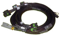 Thumbnail for Haltech Big Block/Small Block Ford V8 8 Channel Individual High Output IGN-1A Inductive Coil Harness