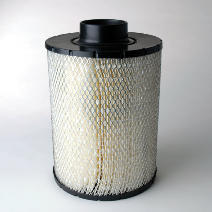 Donaldson B085001 Air Filter