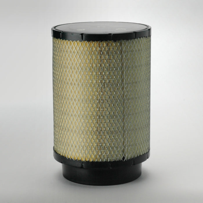 Donaldson B085056 Air Filter
