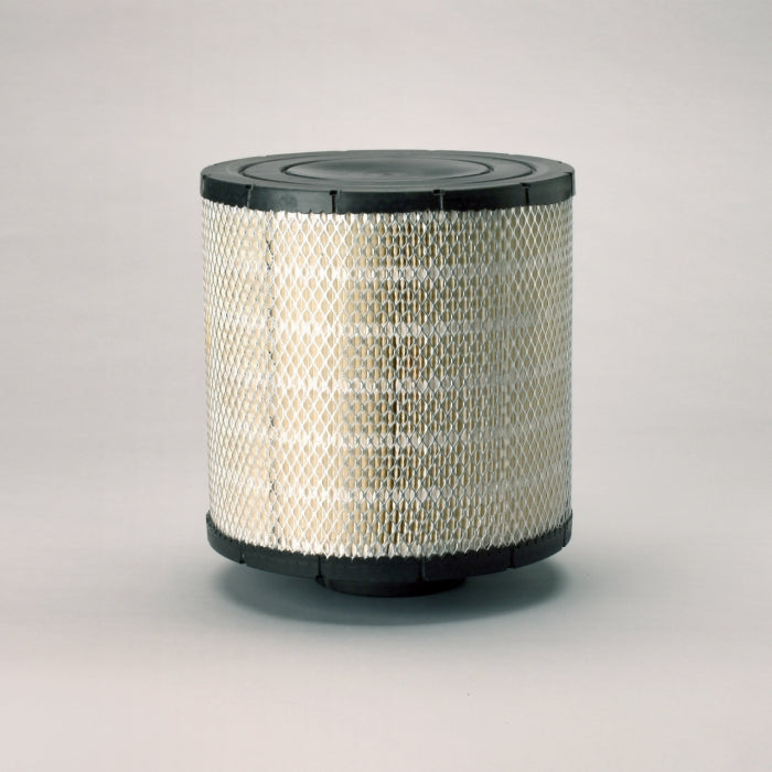 Donaldson B105020 Air Filter
