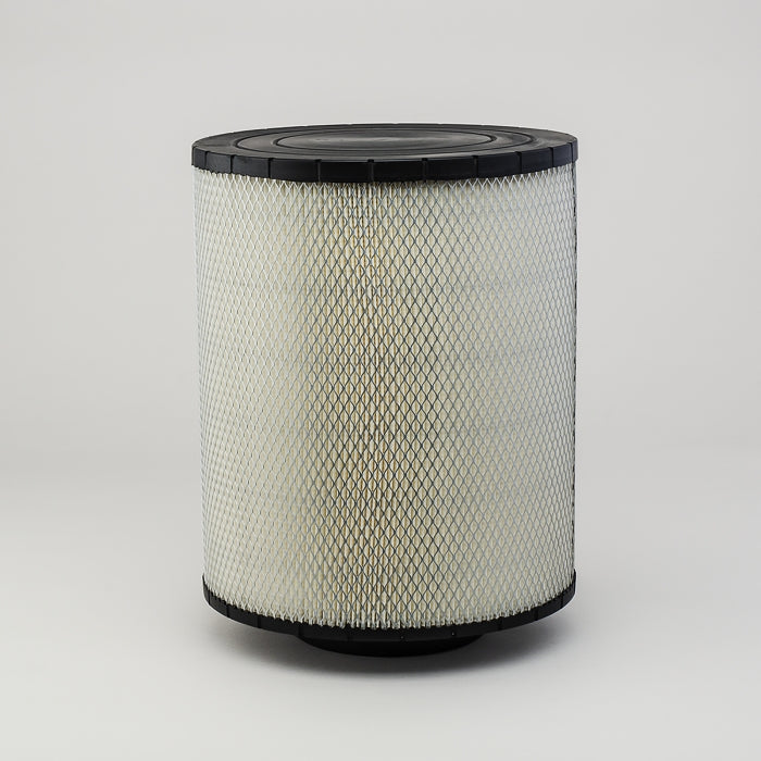 Donaldson B125003 Air Filter