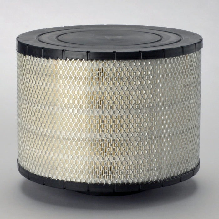 Donaldson B125005 Air Filter