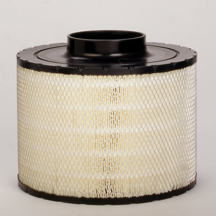 Donaldson B125011 Air Filter