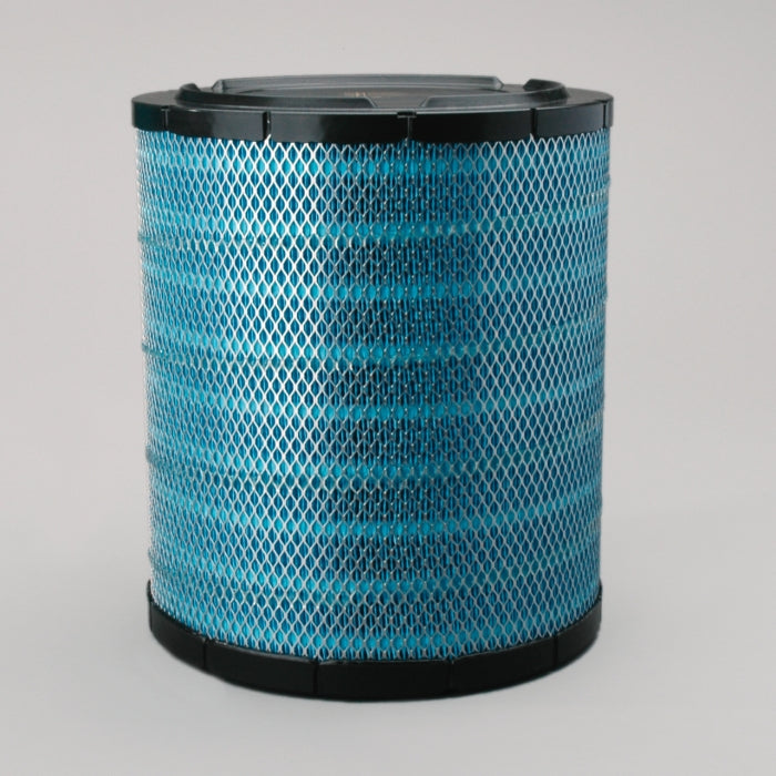 Donaldson EAF5069 Air Filter