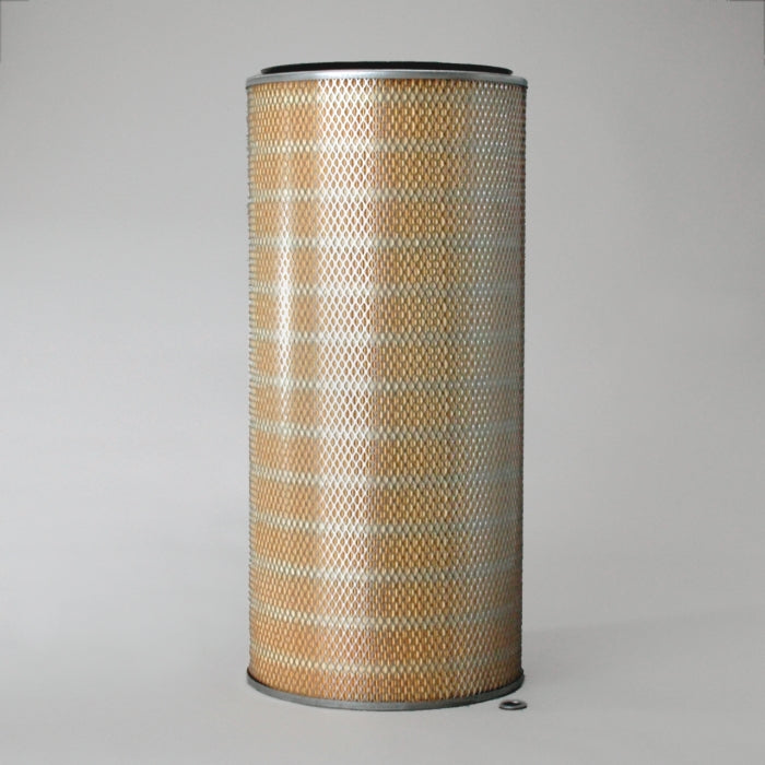 Donaldson P042343 Air Filter