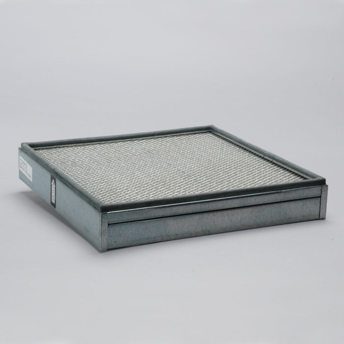 Donaldson P105919 Air Filter