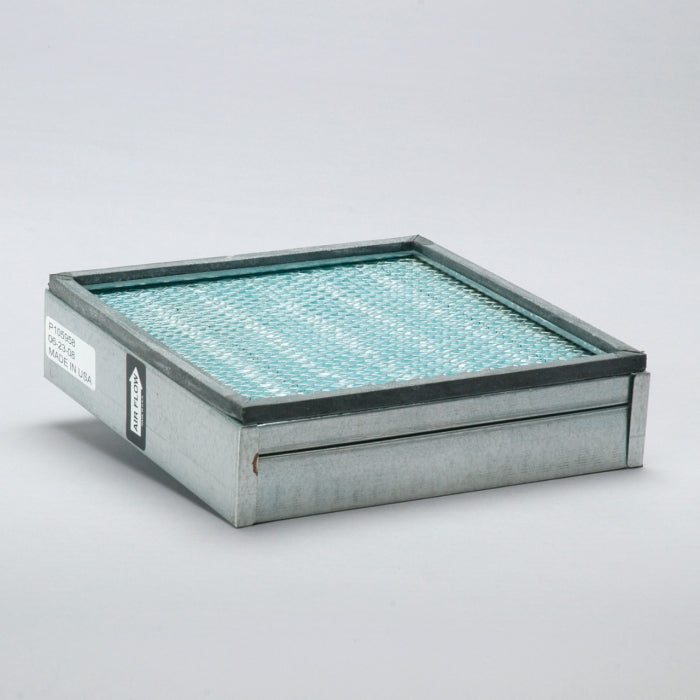Donaldson P105958 Air Filter