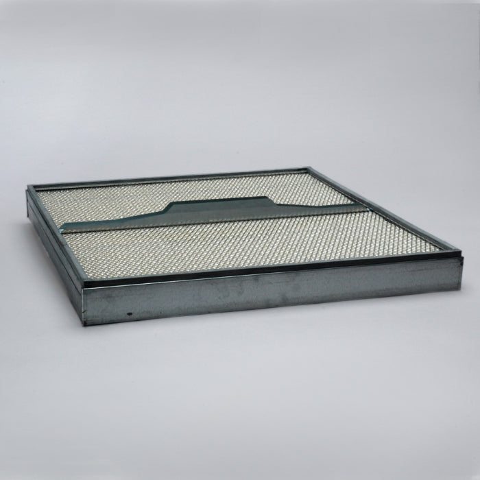 Donaldson P111098 Air Filter