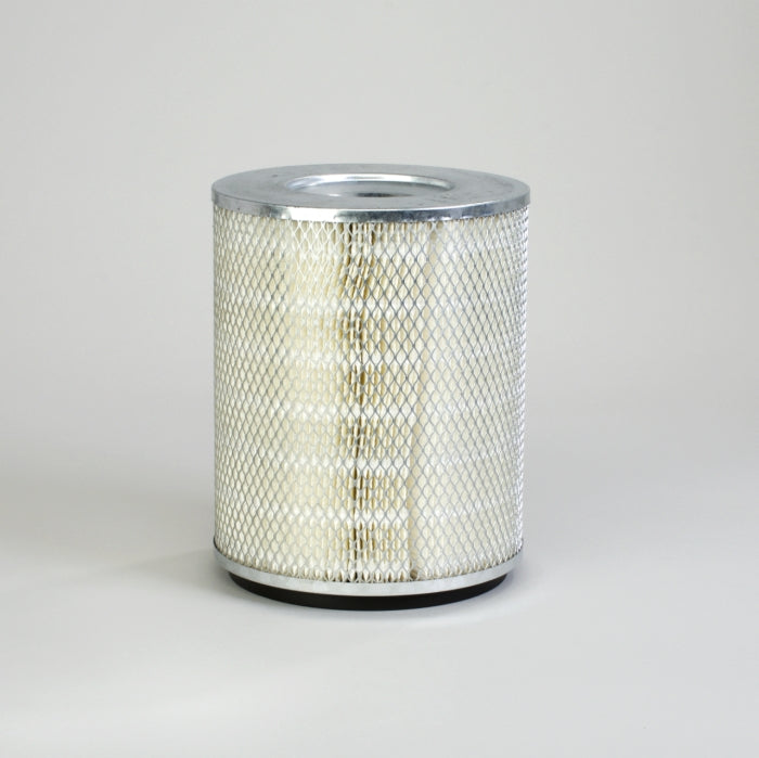 Donaldson P113395 Air Filter