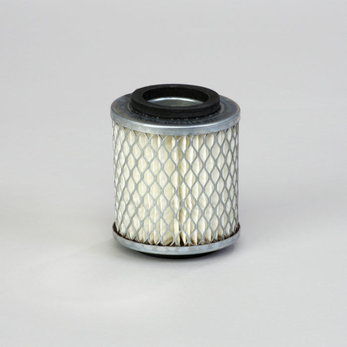 Donaldson P113720 Air Filter