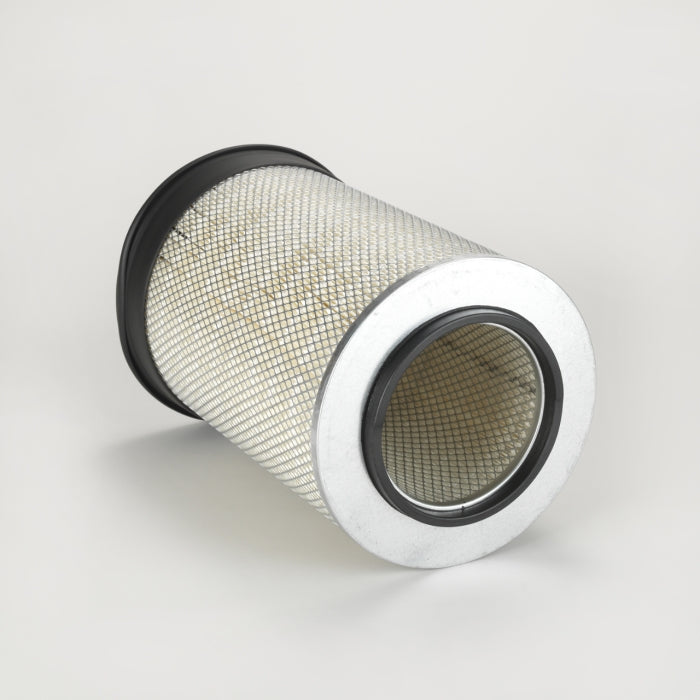 Donaldson P115889 Air Filter