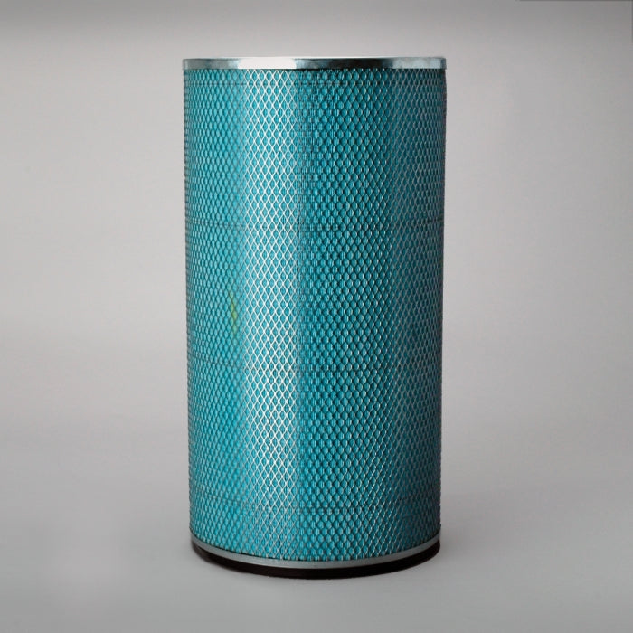 Donaldson P117781 Air Filter