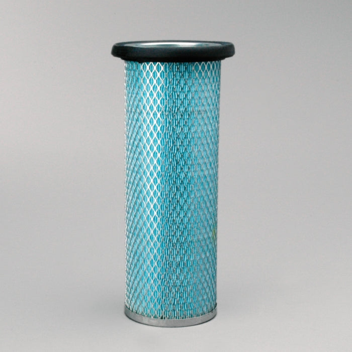Donaldson P119374 Air Filter