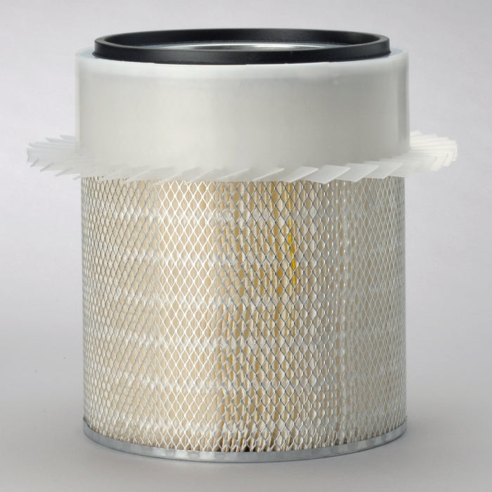 Donaldson P181001 Air Filter