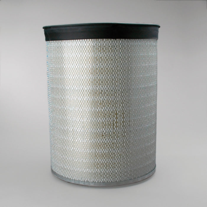 Donaldson P181038 Air Filter