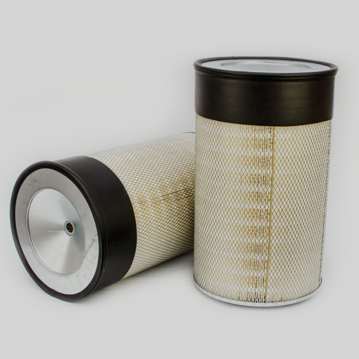 Donaldson P181043 Air Filter