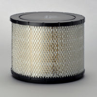 Thumbnail for Donaldson P181107 Air Filter