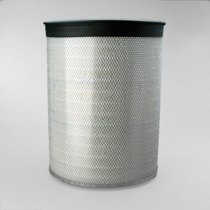 Donaldson P182038 Air Filter