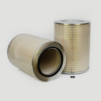 Thumbnail for Donaldson P182041 Air Filter