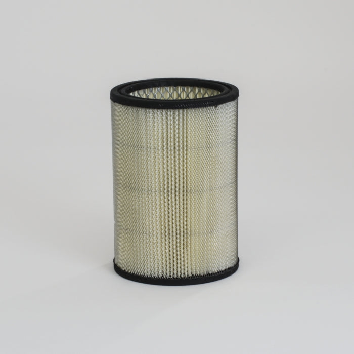 Donaldson P524348 Air Filter