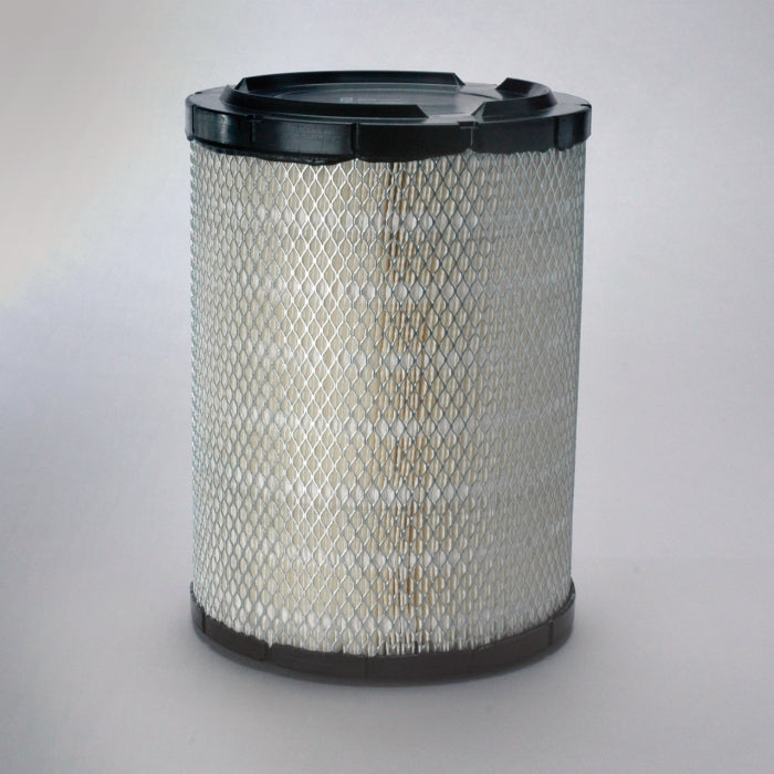 Donaldson P527484 Air Filter