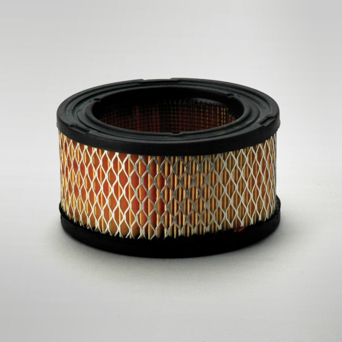 Donaldson P528206 Air Filter