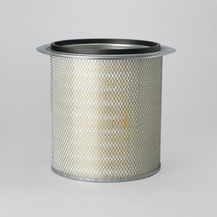 Donaldson P535115 Air Filter