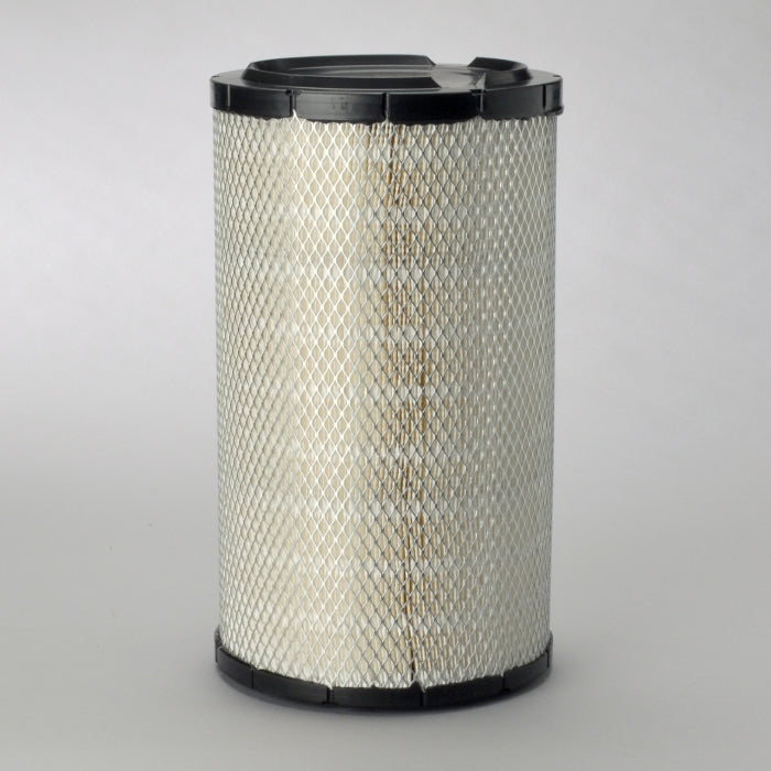 Donaldson P536036 Air Filter