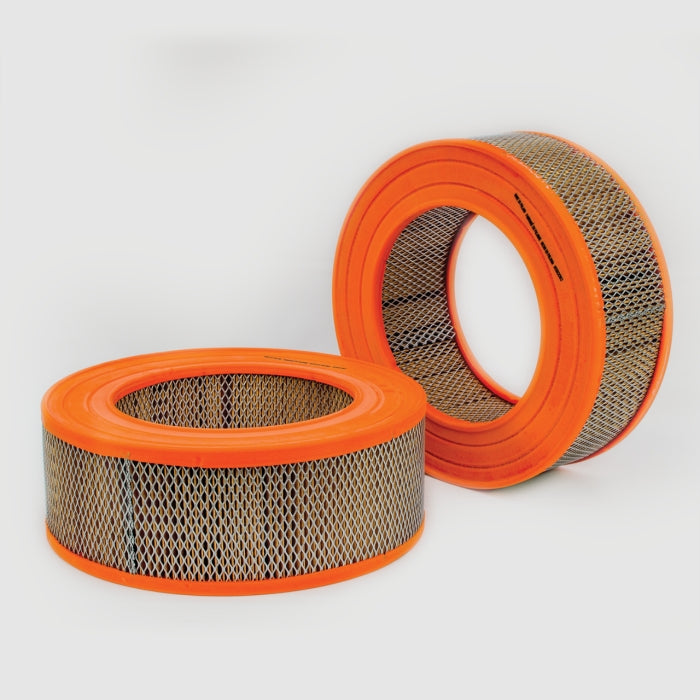 Donaldson P607288 Air Filter