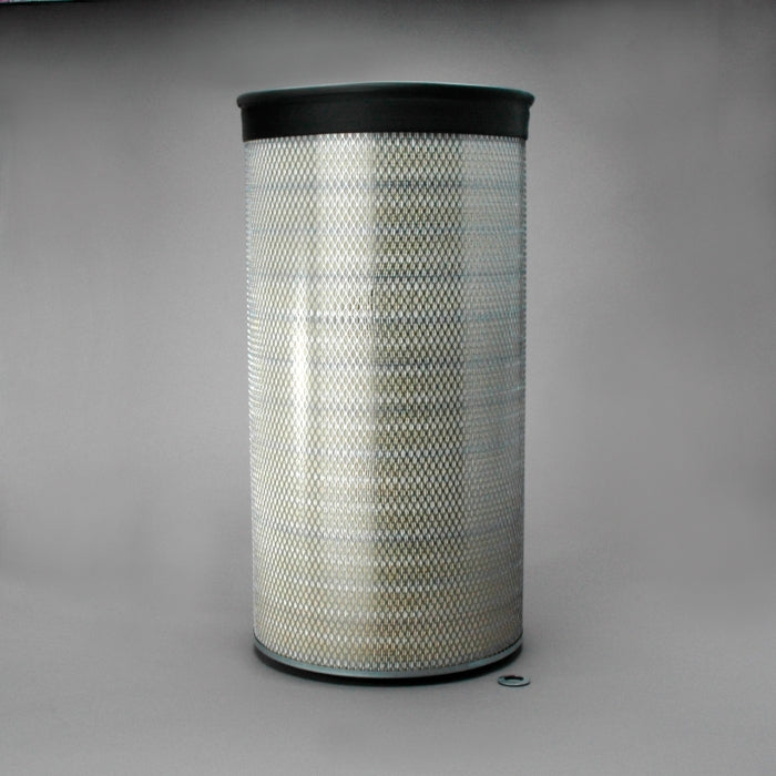 Donaldson P607369 Air Filter