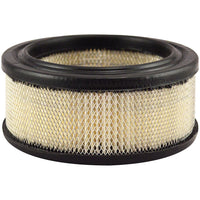 Thumbnail for Baldwin PA2096 Air Filter Element