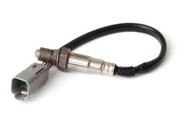 Thumbnail for Haltech Wideband O2 Sensor (Bosch LSU 4.2)