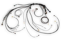Thumbnail for Haltech NEXUS Rebel LS Terminated Harness for ECU
