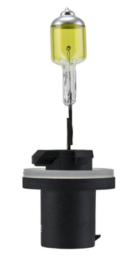 Thumbnail for Hella Optilux 893 12V 37.5W Extreme Yellow Bulbs (Pair)